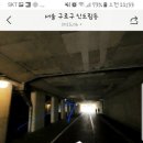 영롱이인라인 이미지