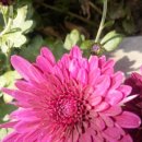 노원구청사 이미지