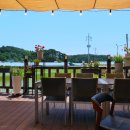 문경참미나리 미돈가 이미지