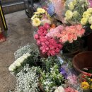 영신꽃화원 이미지