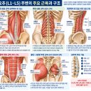 흉추·요추에 적용하는 근에너지기법(MET) 앉은 자세에서 시행하는 척추 수기치료 이미지