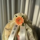 굿모닝청과 - 용인시 기흥구 죽전로 33 | 굿모닝청과