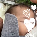 브이트레이더스