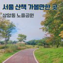 노을이물드는언덕 | 마포 상암동 노을공원 산책 서울 가을 나들이 가볼만한 곳 조각공원 풍경