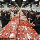 GS25고령점 | 롯데마트 딸기 대전 가보세요 350톤 물량이라 품절 걱정 없어요