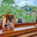 사랑방민박 이미지