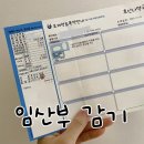 임신 중 목감기 코감기 약 처방 후기 (산부인과, 내과 씨잘정)