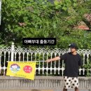 무장초등길 스포츠조선