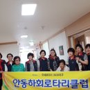 신갑연 Daum카페