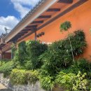 군산굴비 이미지