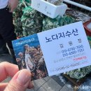 노다지굴수산