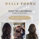 힐즈영 헤어 라피에스타 증산역점 네이버블로그