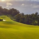 아리지 골프장 이미지