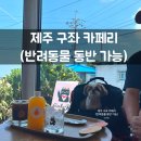 바닐라 애견샵 | 제주도 동쪽 구좌 애견 동반 카페 카페리 내돈내산 후기 평대리해변 세화 소품샵 고양이 카페.