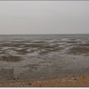 경기둘레길 화성47코스 이미지