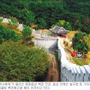 온천천일대13 이미지