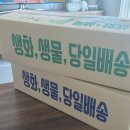 블리스가든 | 생화꽃다발 '블리스가든몰' 웨딩촬영 셀프부케만들기 후기