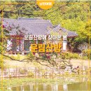 5/23~25 관매도 조도 진도 이미지