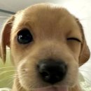 원신흥남로28번길 이미지