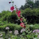 영훈농장 이미지