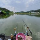 도채낚시터 이미지