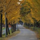 서울목장 이미지