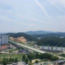 목화(2차) 이미지