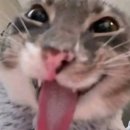 청하목욕탕 | 26년 첫 모아보기! 1월~