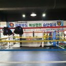 송강 홍복싱 이미지