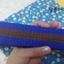 용인대파란태권도 이미지