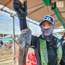 낚시타운 좌대낚시터 이미지