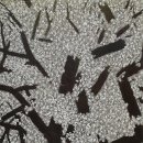 소장품 기획전 ＜삶을 그리다＞_삶과 죽음(Life and Death)_2001 이미지