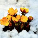 냉천공원 이미지