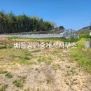 대서면사무소 이미지