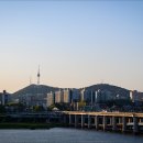 세빛섬· 반포대교 달빛무지개분수 Daum카페