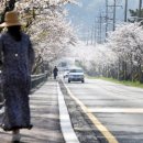 웅천 소류지 이미지