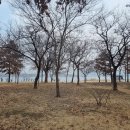 서림 행정사사무소 이미지