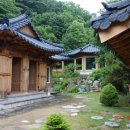 곰배령 쥐와 돼지 이미지