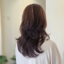 대원장 | 울산 송정동 미용실 디페드 송정점 레이어드펌 뿌리볼륨펌 후기