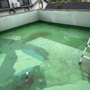 도매당안경 이미지