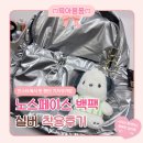 퍼피마마 | 기저귀가방 '노스페이스 백팩 키즈 퍼피 멀티백 실버' 내돈내산 후기 | 노스페이스 백팩 NM2DS54...