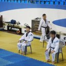 경희대 글로벌 태권도 이미지