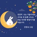 청원 행정사 이미지