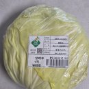 GS25중계2단지점 | [GS25 편의점 반찬] 봄동 대신 양배추쌈! 한끼스틱 비빔낙지젓 &amp; 오징어젓 후기 (ft. 꿀조합)