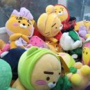 뽑기가 안되면 홍성스쿨 이미지