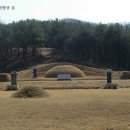 수성최씨시조묘 이미지