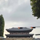 도매당약국 이미지