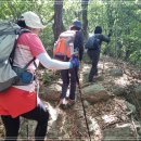 내곡동424 이미지