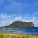 성읍환승정류장 이미지