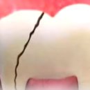 드림S치과의원 이미지